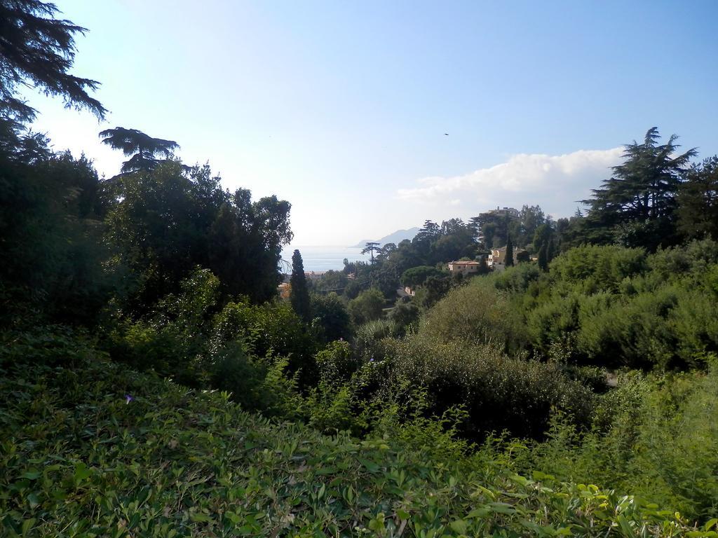 Le Camarat Cannes