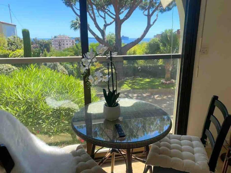 The Sun Paradise Dream Cannes