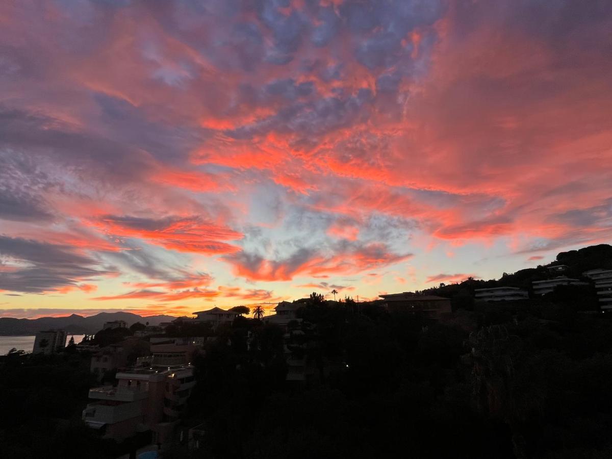 Superbe Studio Avec Terrasse, Vue Panoramique, Piscine, Parking Ferme Gratuit * Cannes