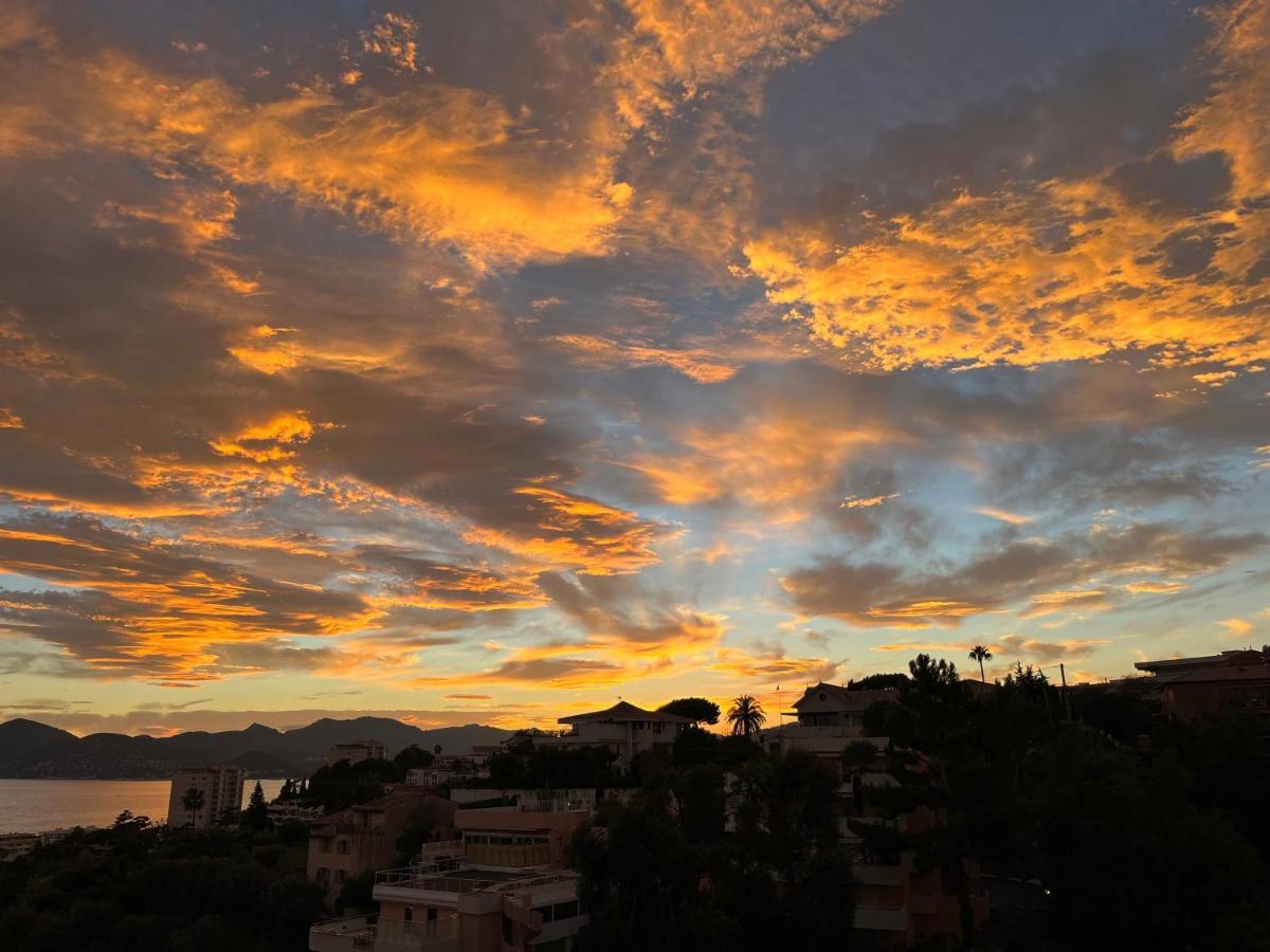 Superbe Studio Avec Terrasse, Vue Panoramique, Piscine, Parking Ferme Gratuit * Cannes