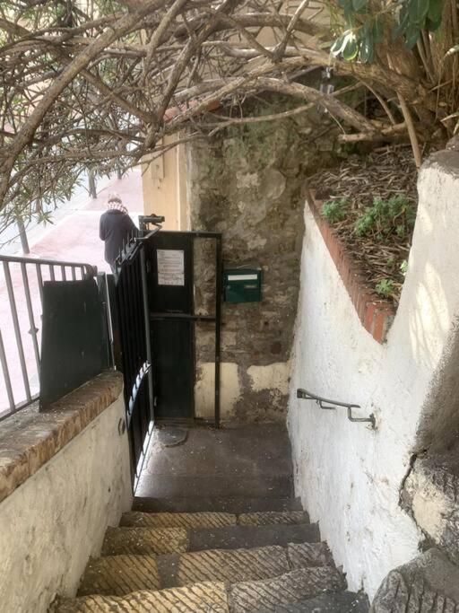 Joli Sur Le Port Appartement Cannes