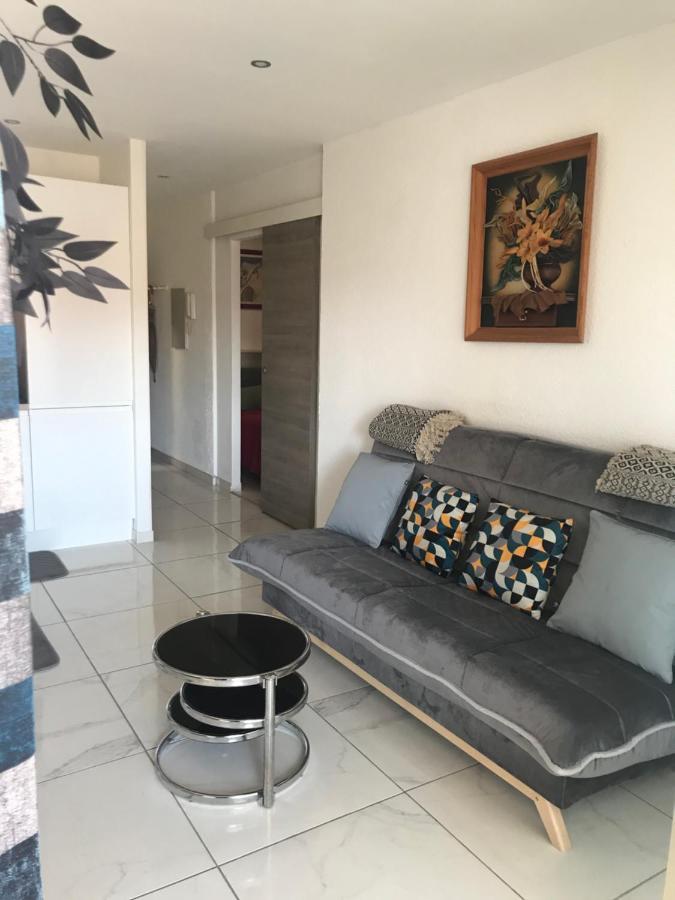 2 Pieces Avec Terrasse -Calme-Sans Vis A Vis-Garage-Centre De Cannes Apartment