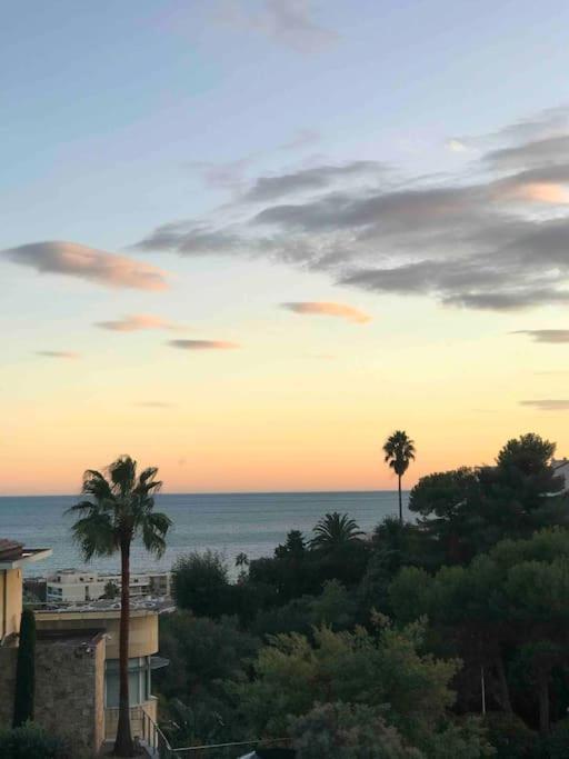 Appartement Hibiscus Penthouse Cannes