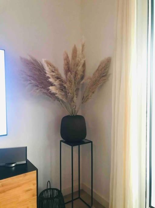 Hibiscus Penthouse Appartement