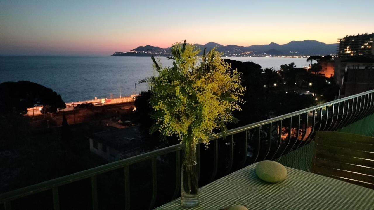 Vue Panoramique, 150m, Terrasse, Parking Prive, Clim Cannes