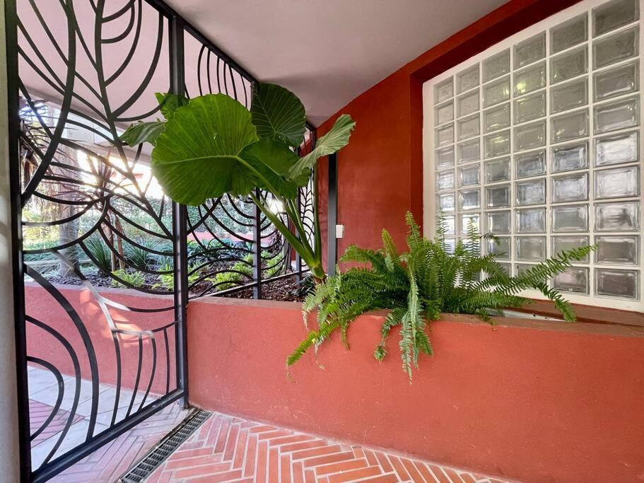2 Pieces Pres De La Croisette Apartment Cannes