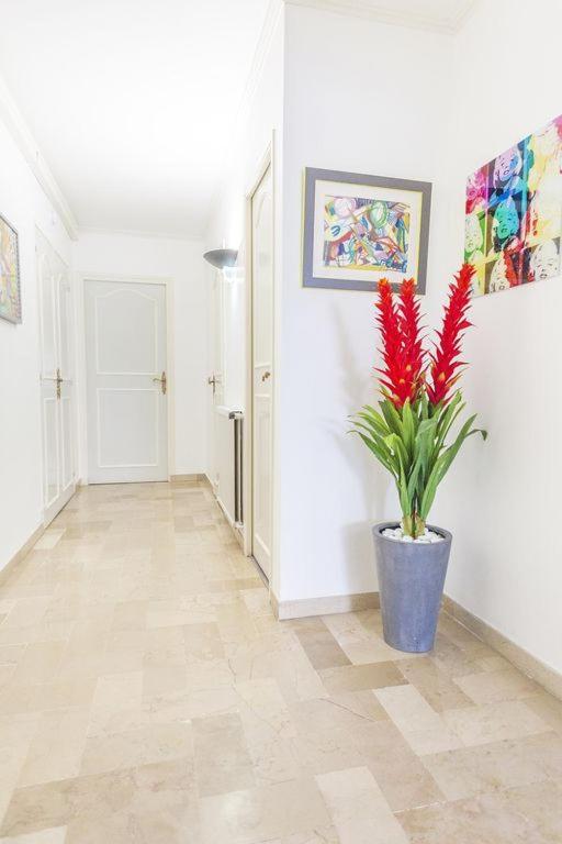 Apartment Lovely One Bedroom Colony Cannes
