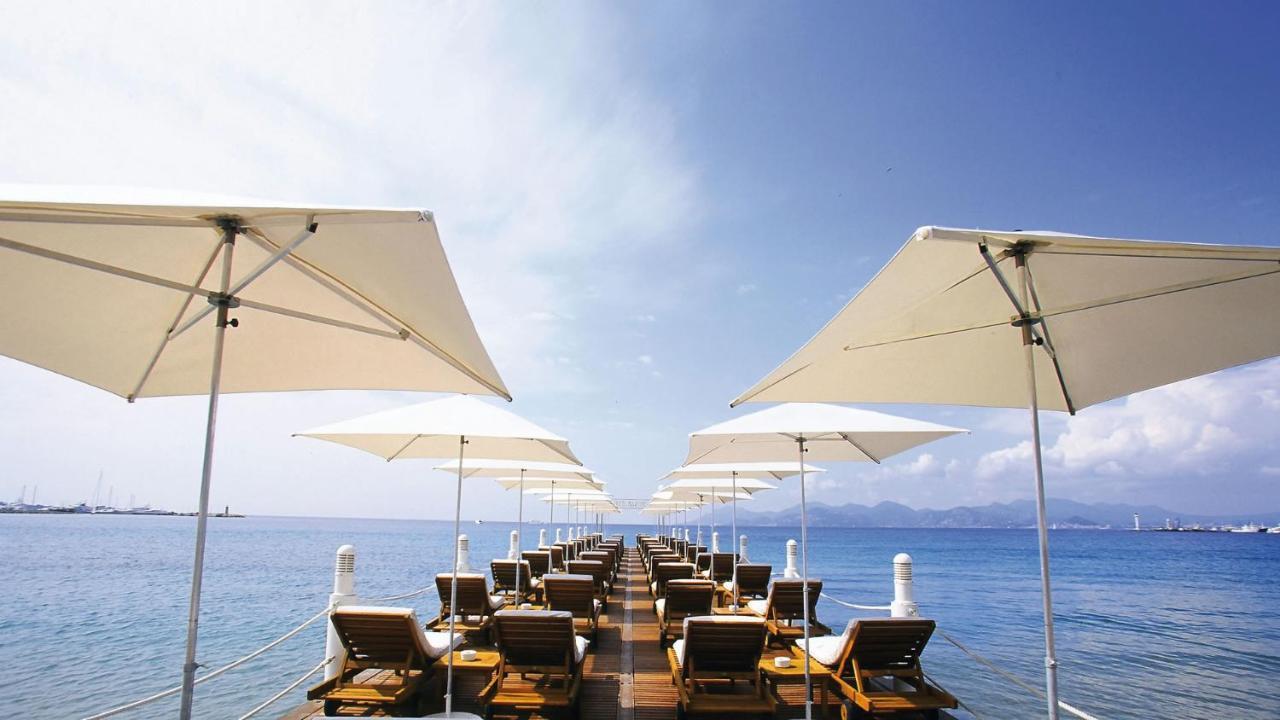 Colombe * Cannes