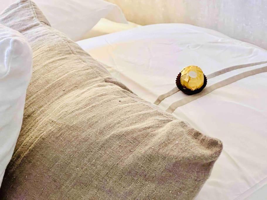 Apartment Centre , Magnifique , 5 Min Palais *