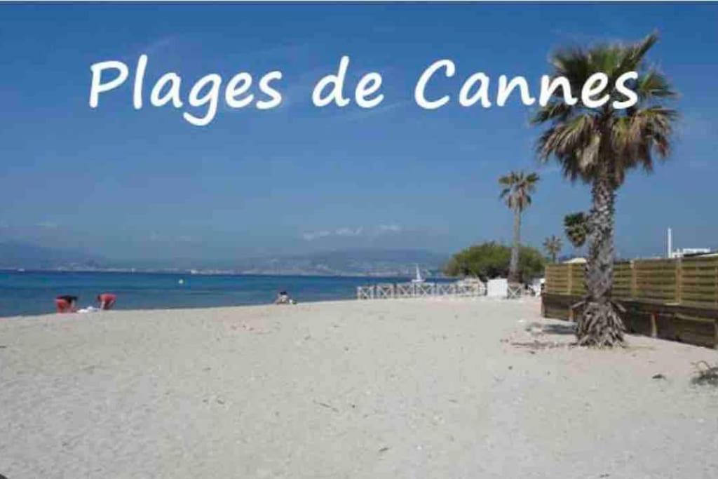 Centre , Magnifique , 5 Min Palais * Cannes