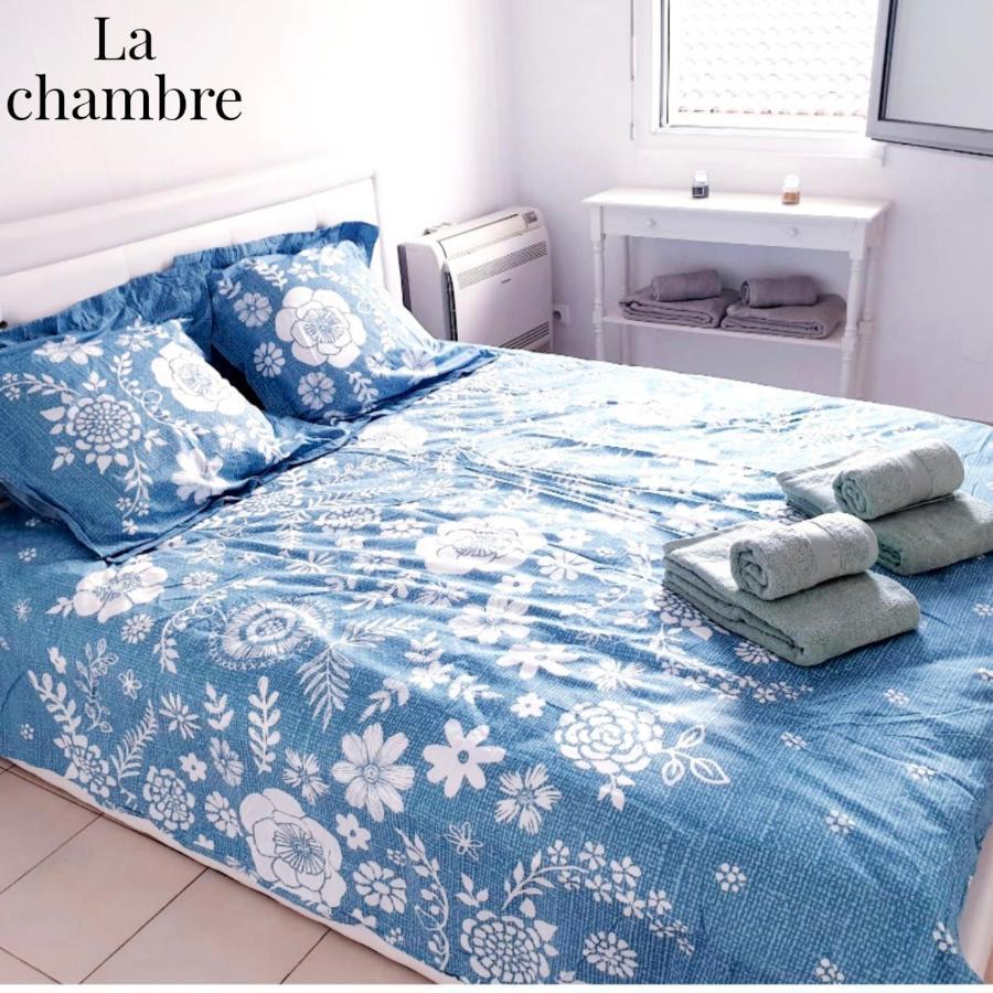 Superbe A Deux Pas Du Centre Apartment *