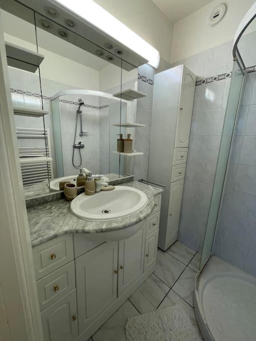 Apartment 7mn From The Center/ Pool/parking Cannes