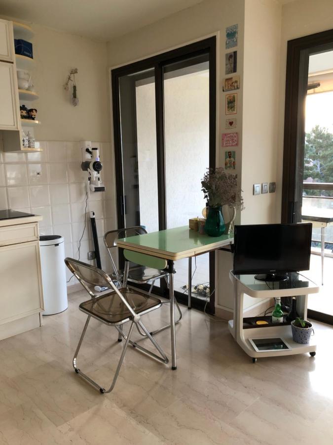 Apartment Superbe Studio Avec Terrasse, Vue Panoramique, Piscine, Parking Ferme Gratuit Cannes