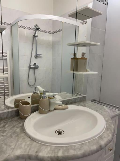 7mn From The Center/ Pool/parking Apartment Cannes