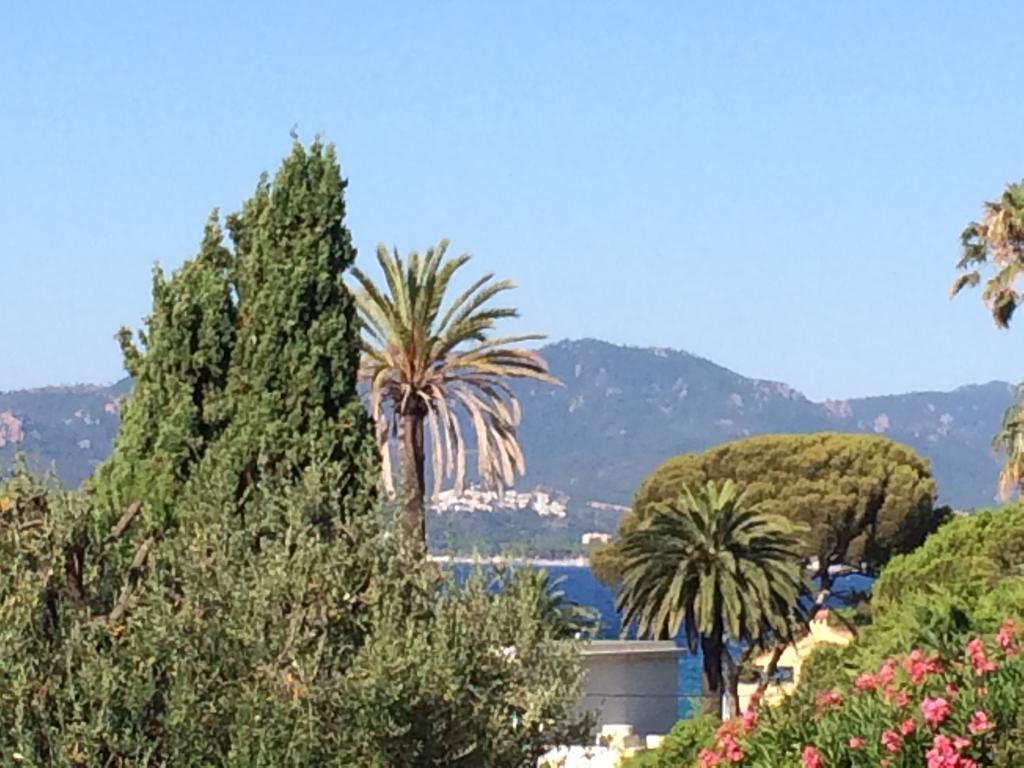 Apartment Le Roc Cannes