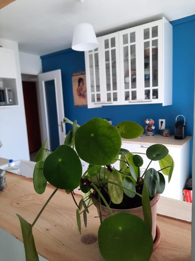 Proche Avec Grand Balcon Apartment *