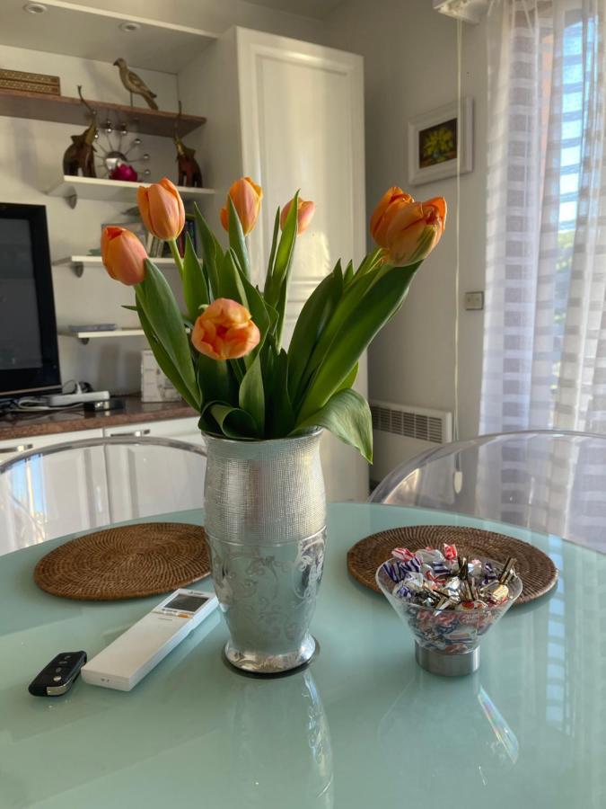 7mn From The Center/ Pool/parking Appartement