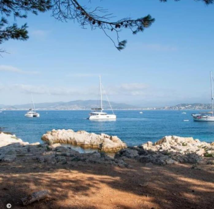 De Luxe Sun Paradis, Terrasse, Vue Piscine * Cannes