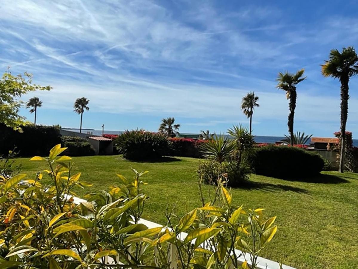 Pan0 - Avec Belle Et Grande Terrasse Vue *