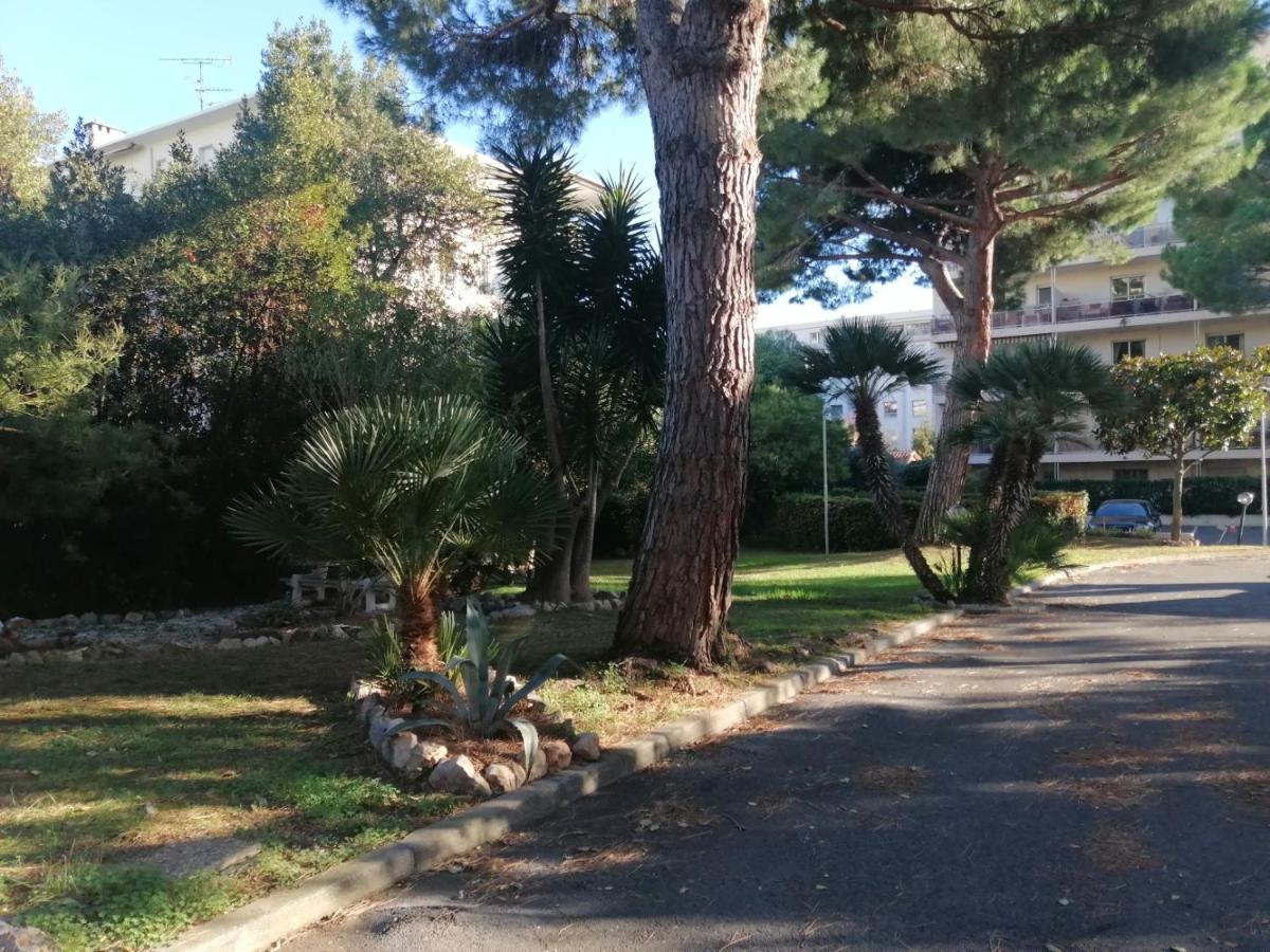 Cote D'azur Cannes