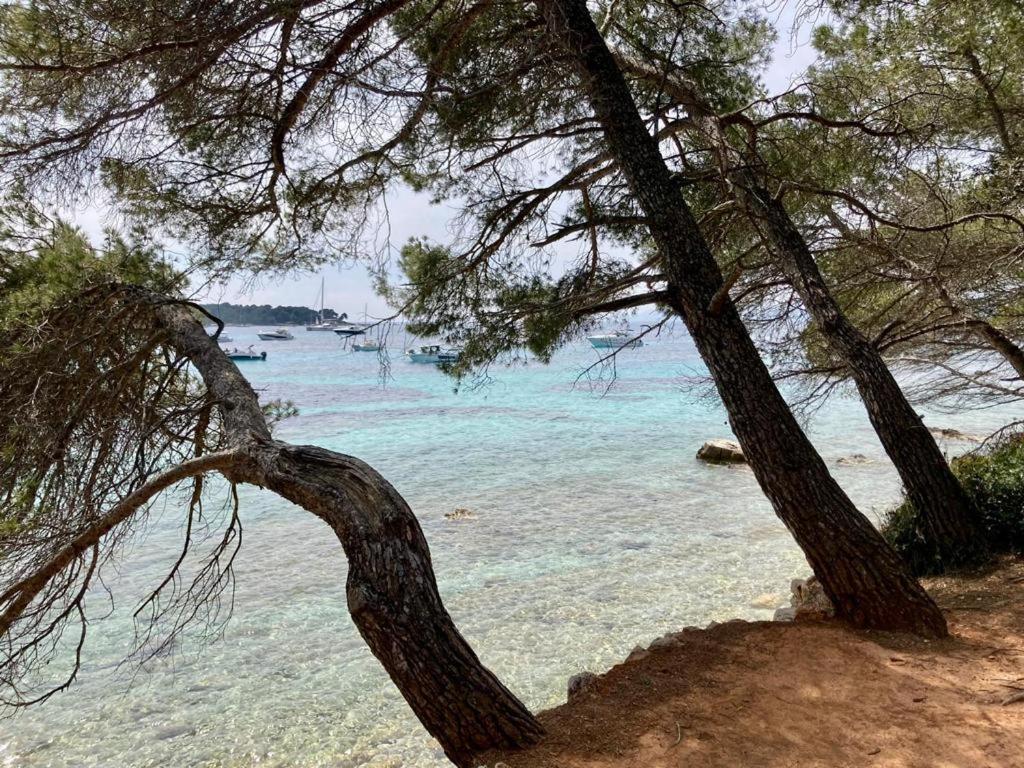 Centre Croisette Emplacement Exceptionnel Cannes