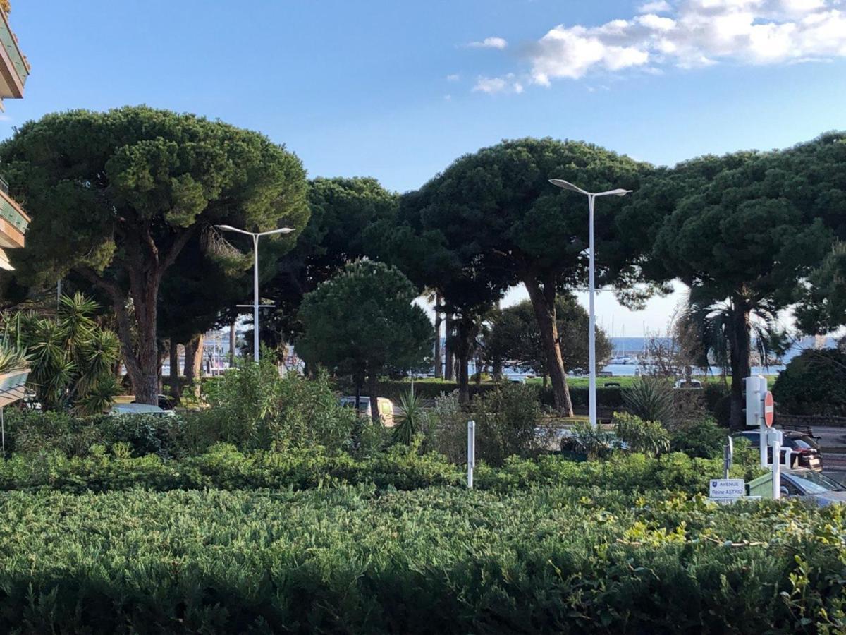 Croisette Pearl Cannes