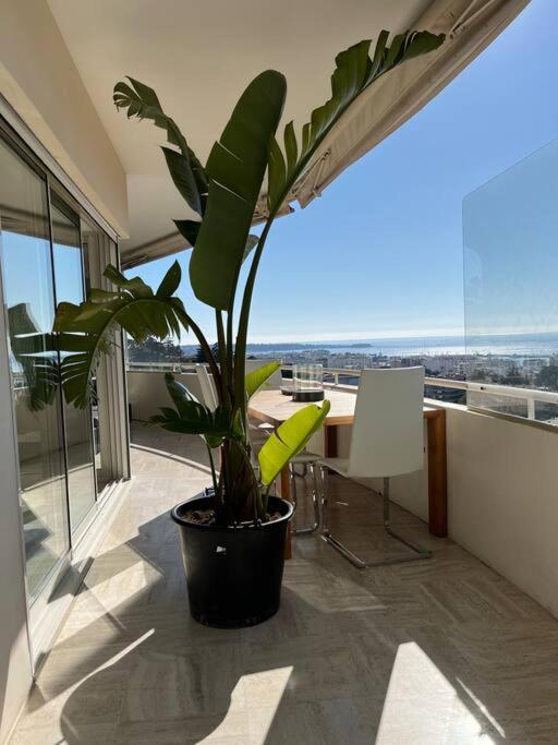 Apartment Proche De La Croisette Et
