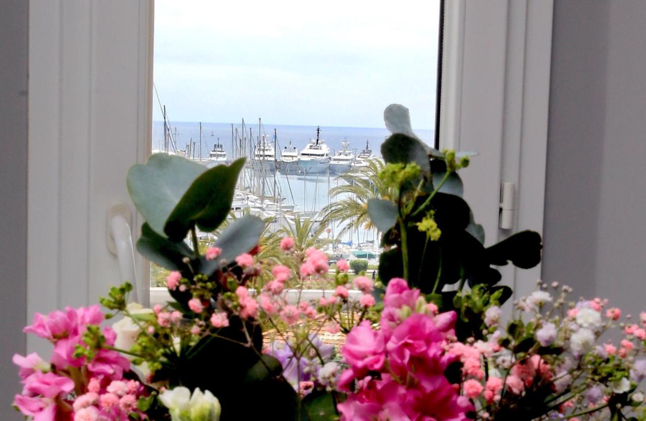 Appartement 5 Min Des Plages Croisette Cannes