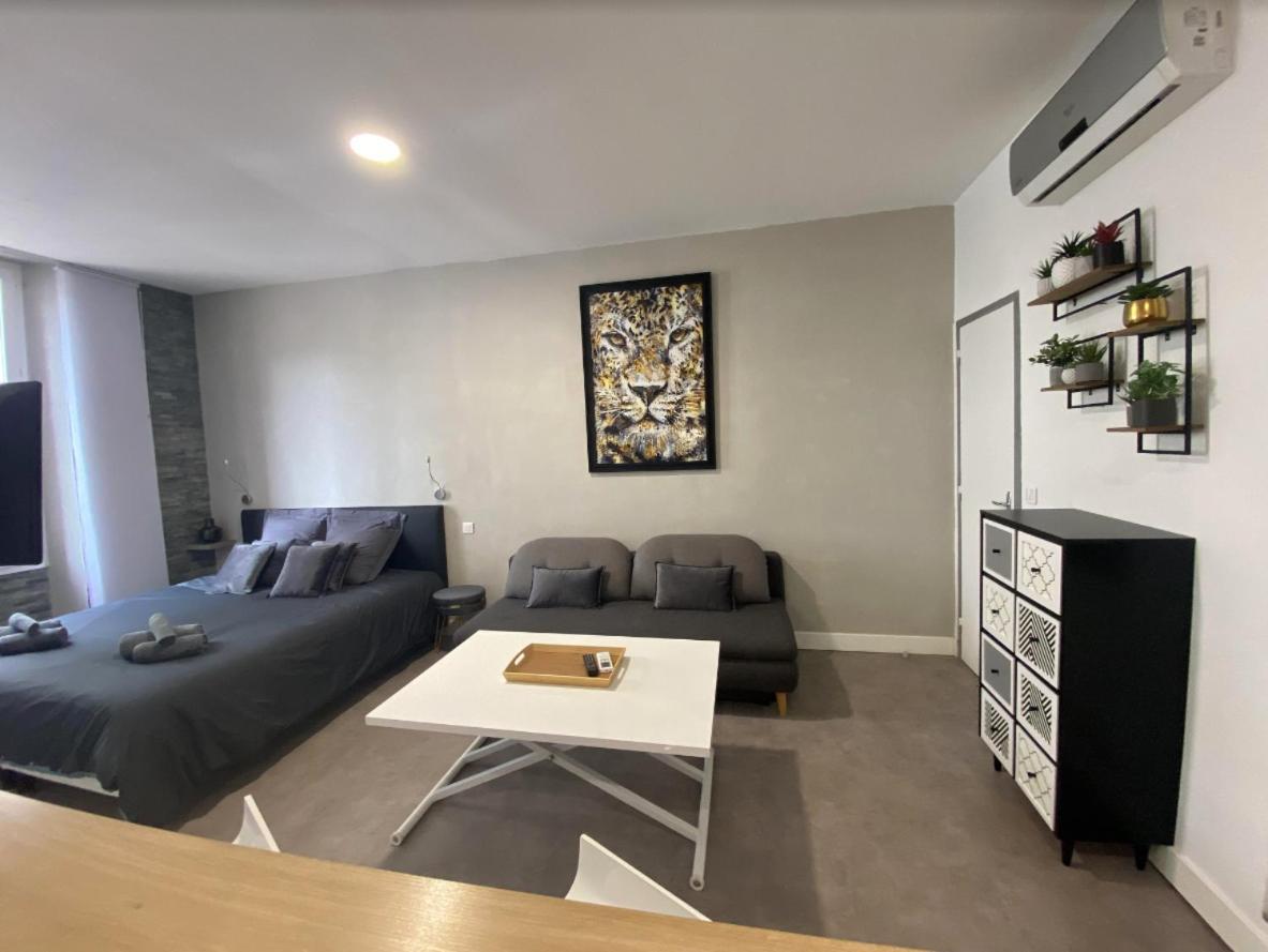Paca 41h2 - Cosy Cannes