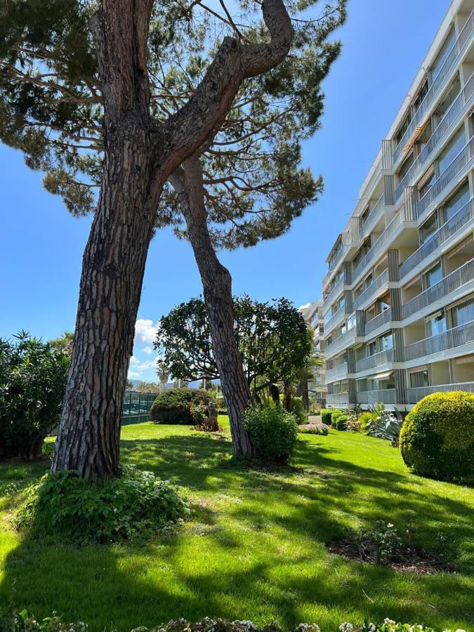 Apartment 2 Pieces Avec Vue Et Parking Privative Cannes