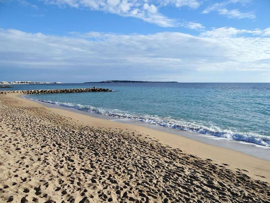 Le Bleuette - Festivals 10min - Face Plages ! *