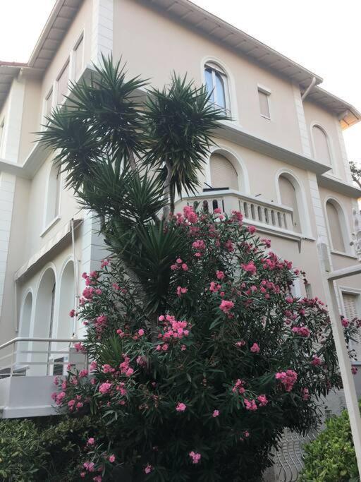 Cozy 1 Bedroom Flat,free Parking, Close To Center *