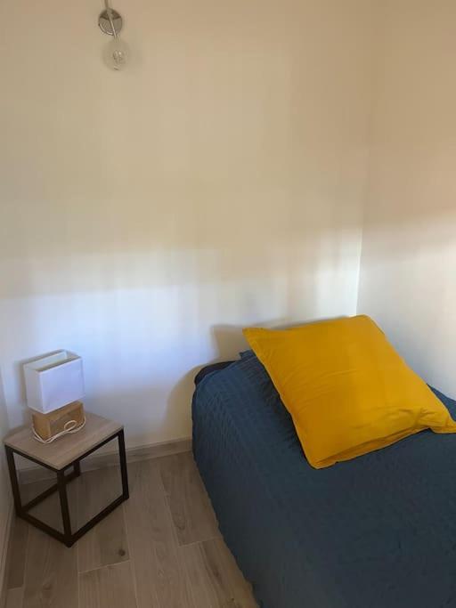 2 Pieces De 29 M2 * Cannes