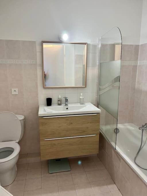 2 Pieces De 29 M2 Appartement