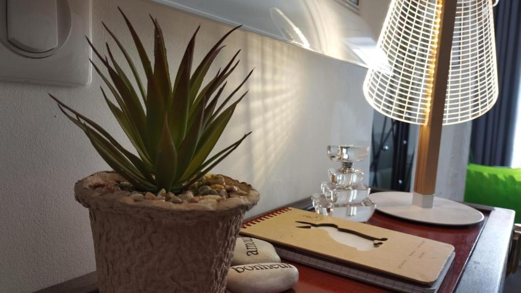 Le Joffre - Cosy Center 3 Min Walk Palais Des Festivals * Cannes