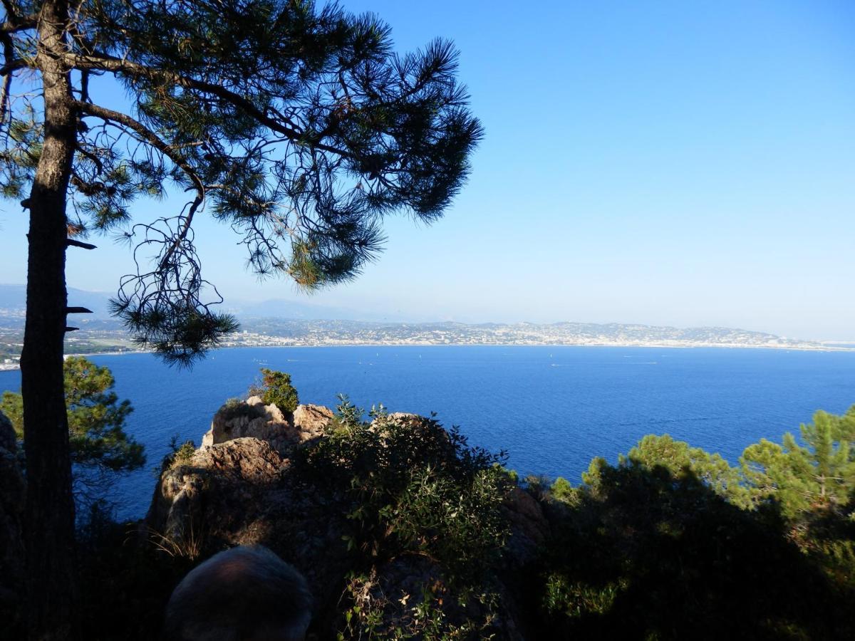 Esterel Terrasses, Roof Top, 50m Cannes