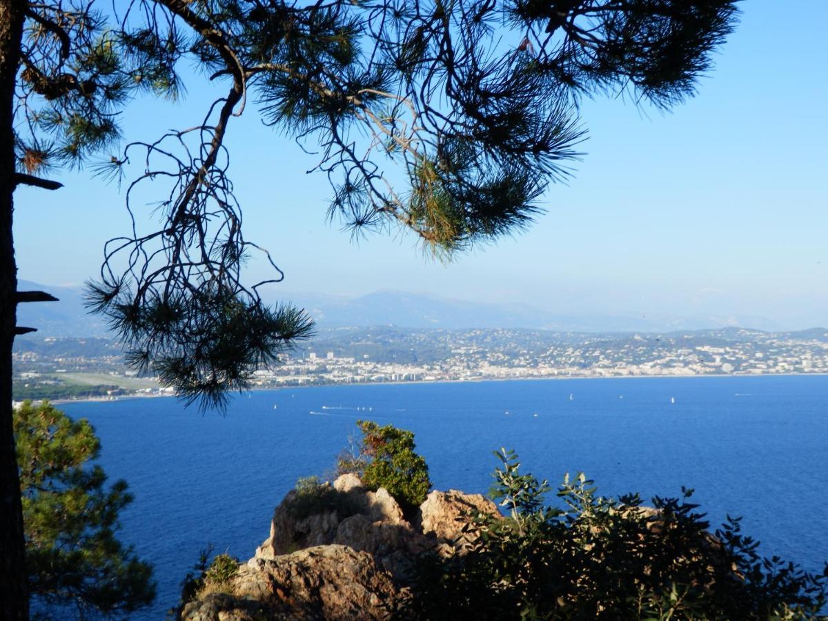 Esterel Terrasses, Roof Top, 50m