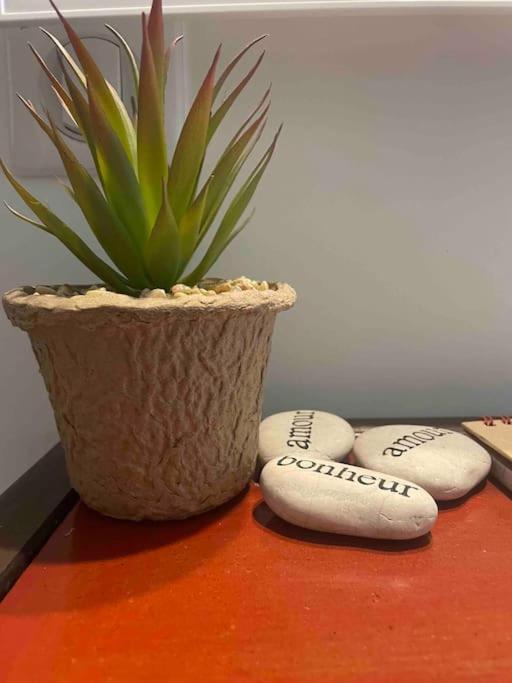Le Joffre - Cosy Center 3 Min Walk Palais Des Festivals Apartment Cannes