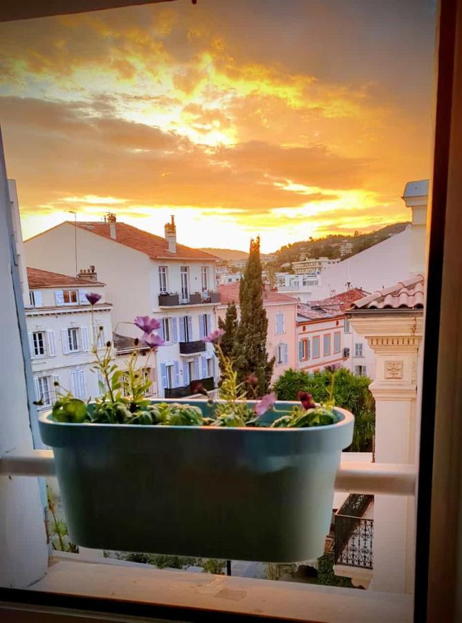 Appartement Croisette Suquet Duplex 4 P Cannes