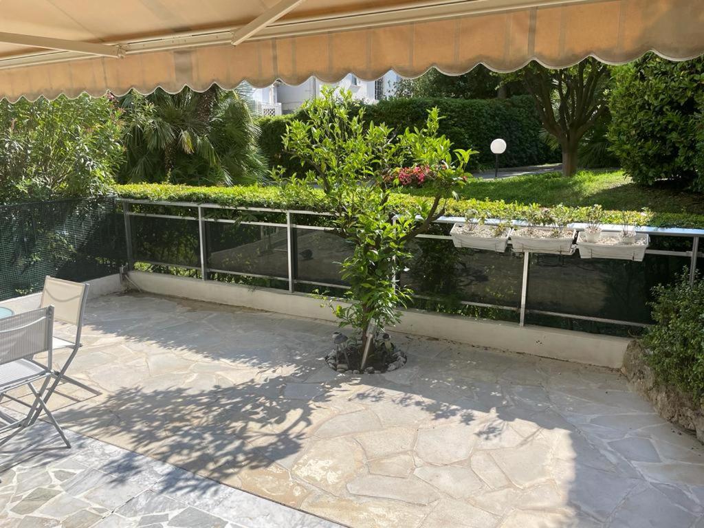 Matheo Apartamento Cannes