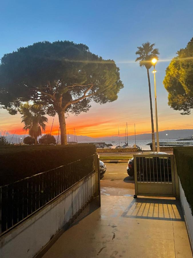 Cool Sur Croisette Palm * Cannes