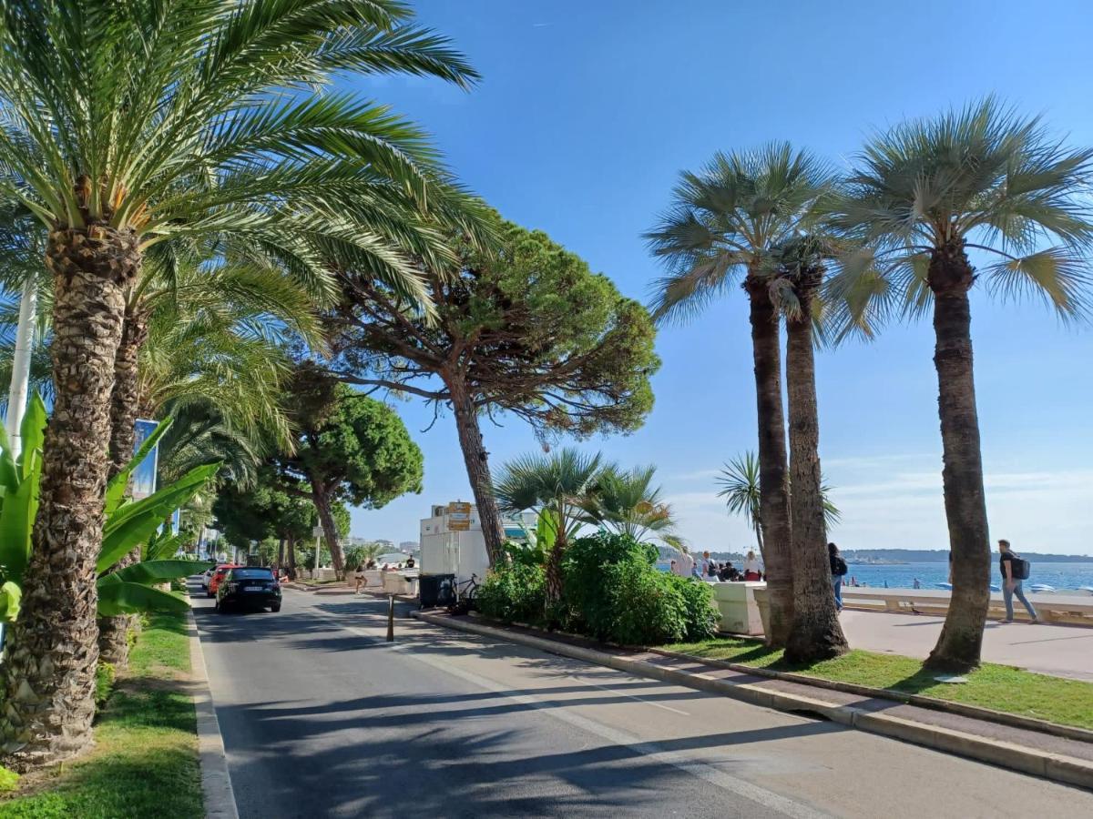 Apartment A Quelques Pas De La Mer, De La Croisette Et Du Palais Des Festivals *