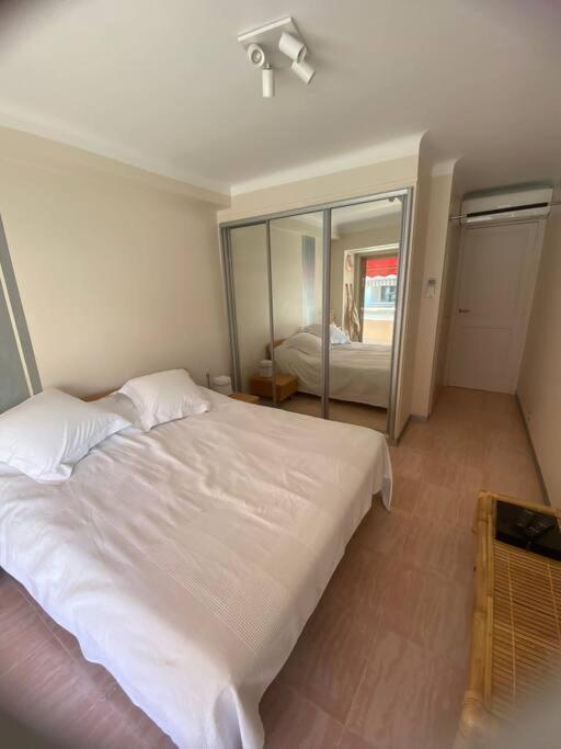 Apartment Paca - 17r - T3 Spacieux Cannes