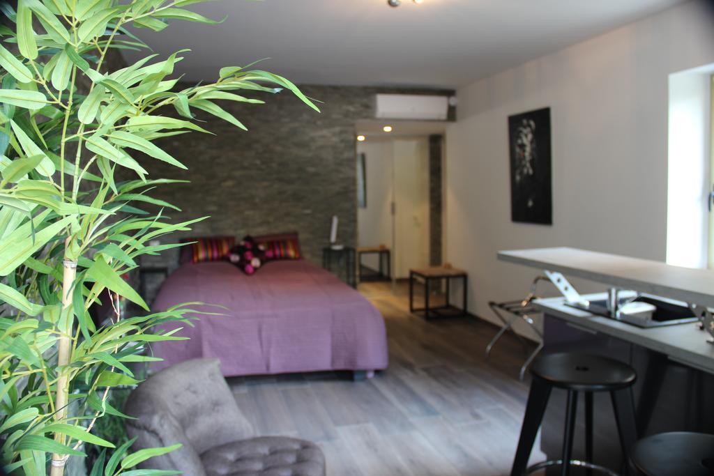 Luxueux Studio Centre Apartment Cannes