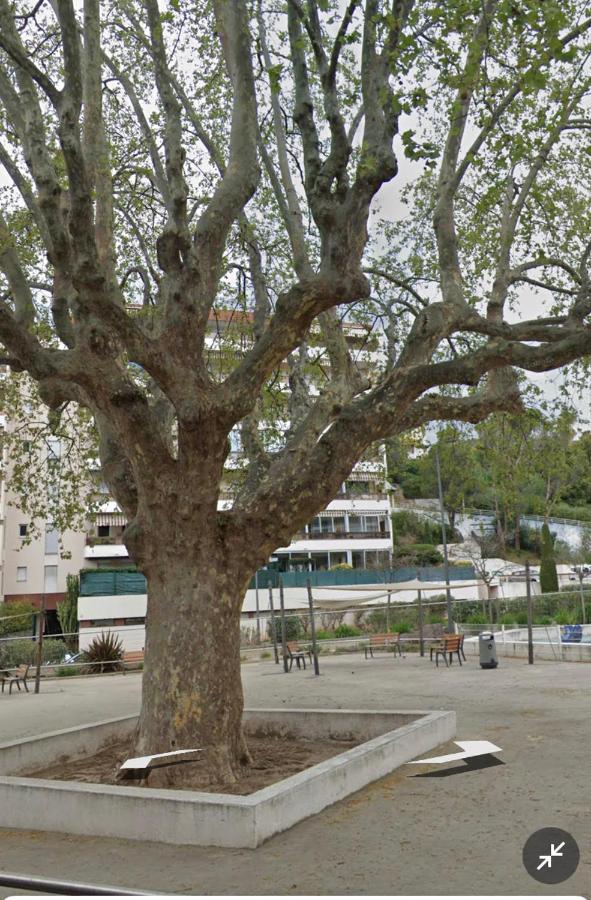 Le Vallombrosa T2 Cannes