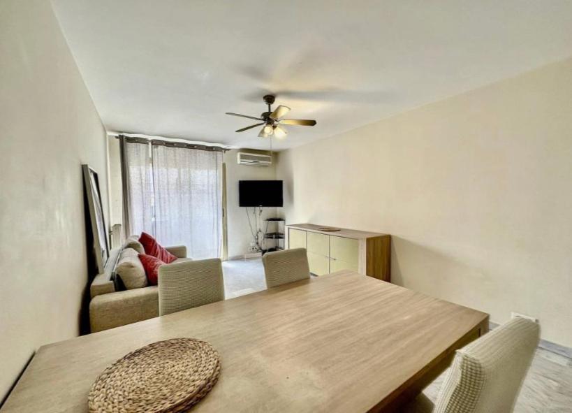 Mimosas -2 Rooms-terrace-city Center -air Conditioning Appartement