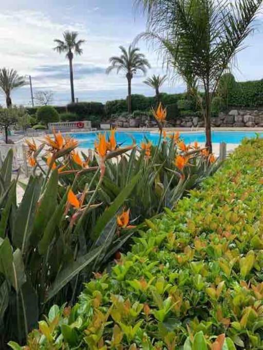 Vue 4 Pers. 50 M Clim Piscine Parking Hh Fernande