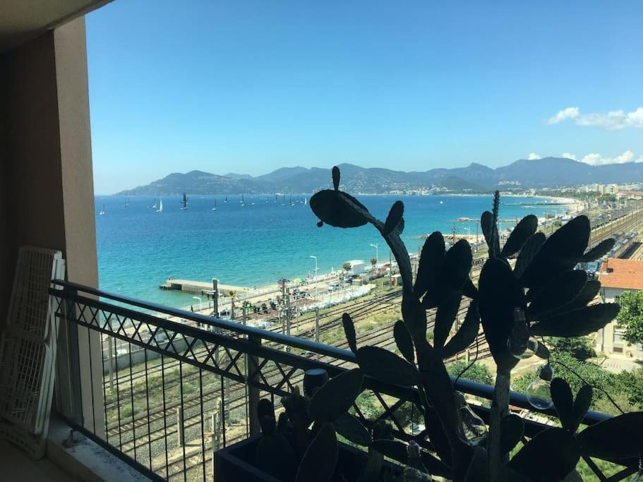 Vue 4 Pers. 50 M Clim Piscine Parking Hh Fernande Cannes