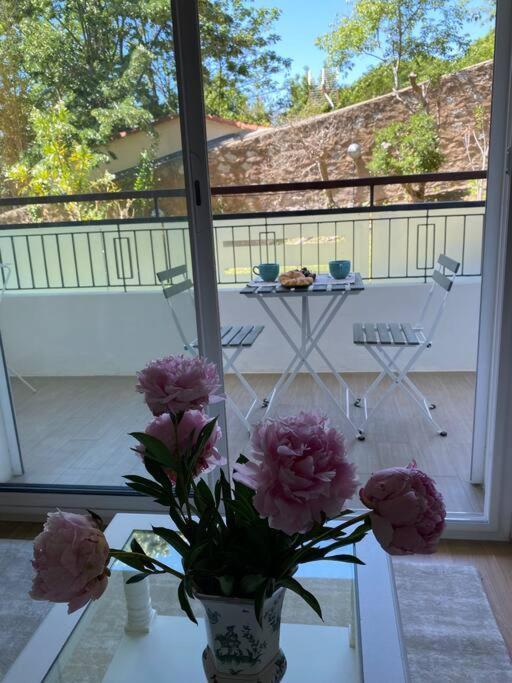Joli Calme Et Apartment
