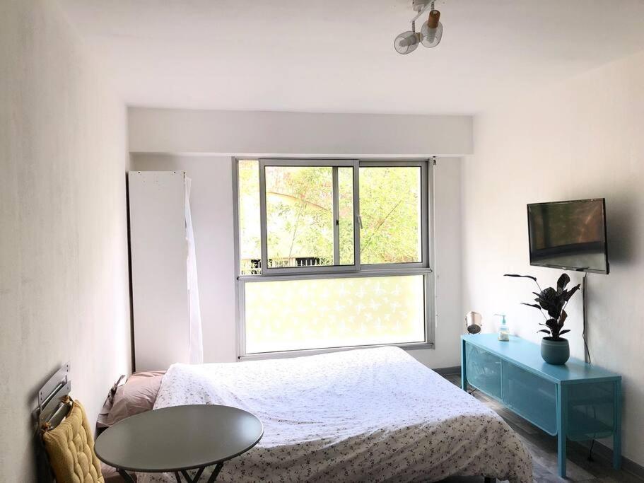 Beau Avec Piscine Apartment Cannes